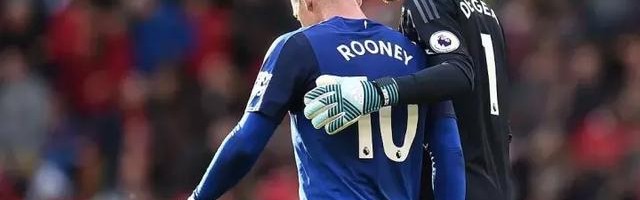  罗伊斯达成德甲三百场里程碑  